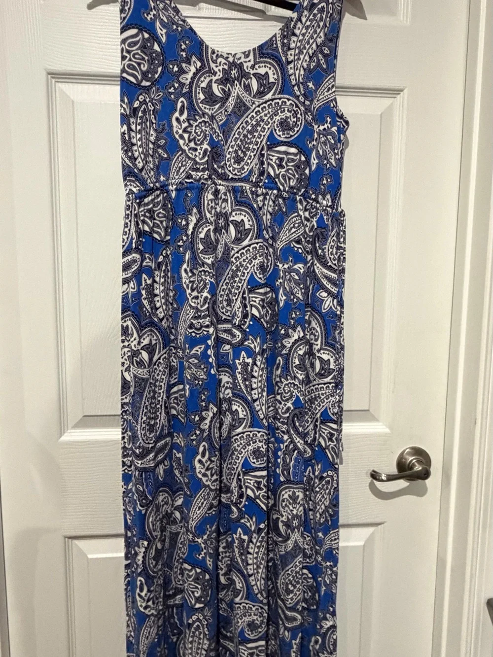 Blue Paisley Maxi Skirt - Women